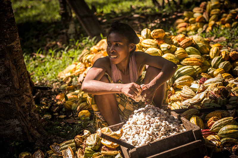 La Mara Herkunft Einwohner bei Kakao Ernte